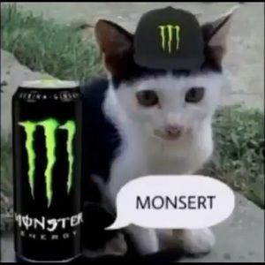 Meet your Posher, Gabby